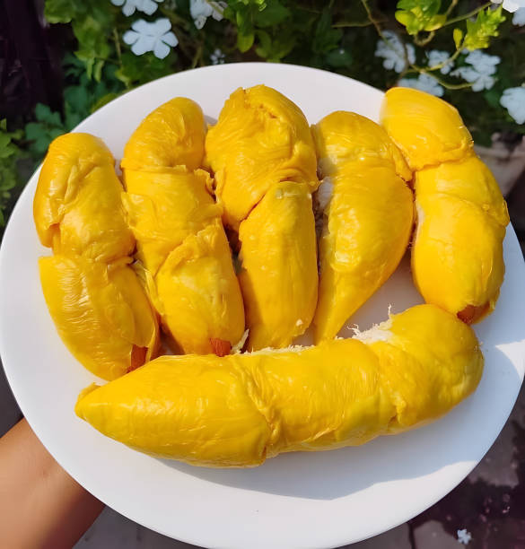 istock A plate filled with ripe, yellow durian fruit segments 2160531050