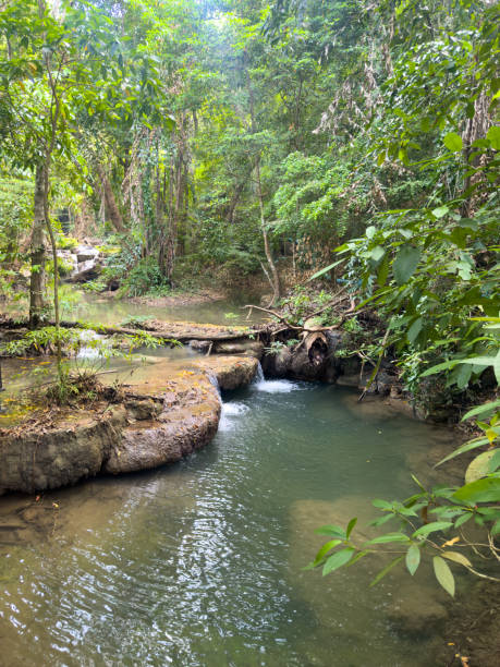 istock Waterfall on a river in the tropical forest of Thailand 2160532749