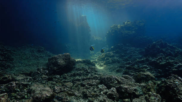 istock Ray of sunlight inside a cave underwater 2160535555