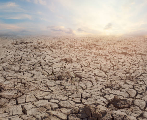 istock Cracked brown soil, barren wasteland surface natural background 2160536631