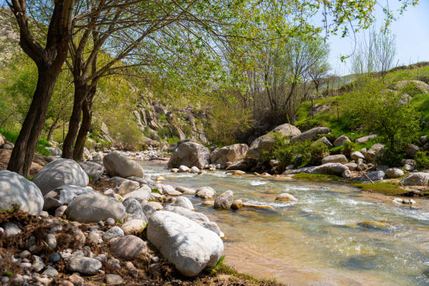 istock A river with a rocky shoreline and trees in the background 2160536995