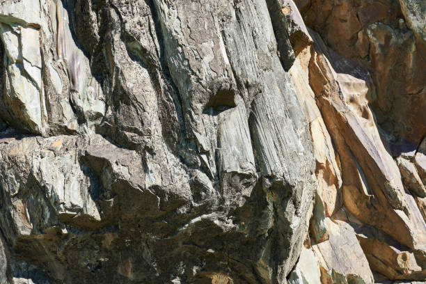 The image is of a rocky surface with a lot of texture. The rocks are white and grey, and they appear to be jagged and rough. Scene is one of ruggedness and toughness