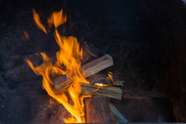 Firewood burning in a brazier, close-up.
