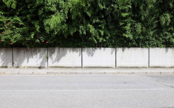 istock Fence made of separate prefab concrete blocks with high bamboo hedge on behind. Sidewalk and street in front. 2160541526