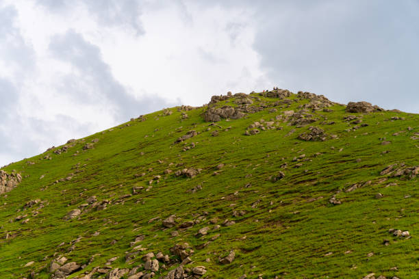 A rocky hillside with a cloudy sky in the background. The hill is covered in grass and rocks, giving it a rugged and natural appearance. The cloudy sky adds a sense of depth