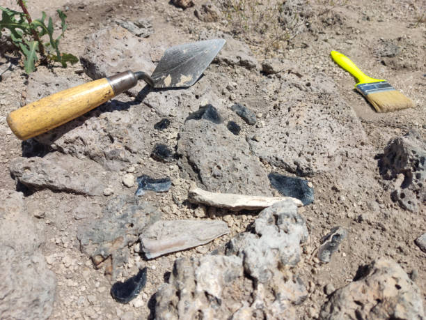 istock Professional Archaeological excavations, archaeologists work, dig up an ancient clay artifact with special tools in soil 2160542356