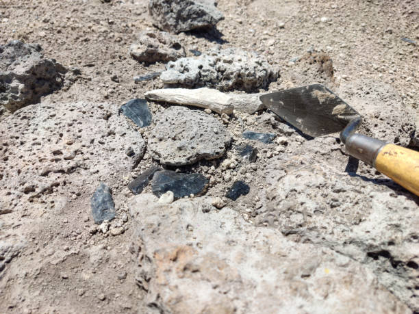 istock Professional Archaeological excavations, archaeologists work, dig up an ancient clay artifact with special tools in soil 2160542446