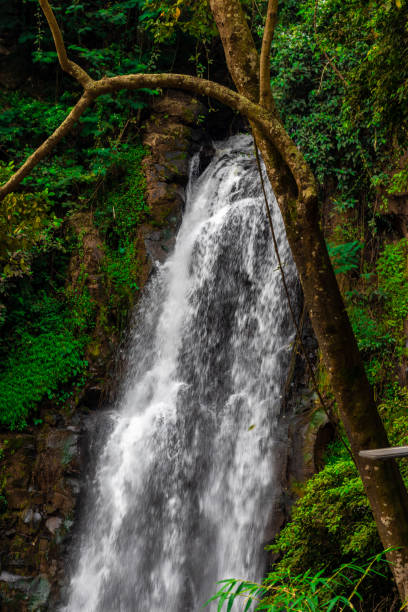 istock the beautiful scenery of the cinulang waterfall 2160542634