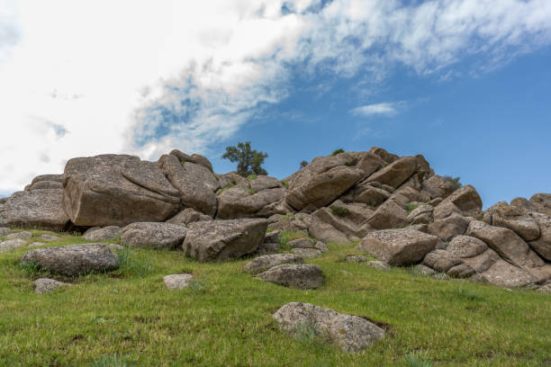 A rocky hillside with a tree in the middle. The sky is blue and the grass is green