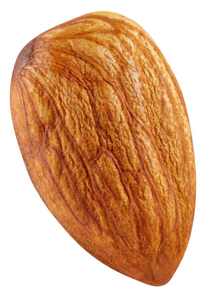 istock One almond isolated on white background. 2160548756