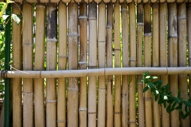 [Background material] Traditional Japanese bamboo fence.