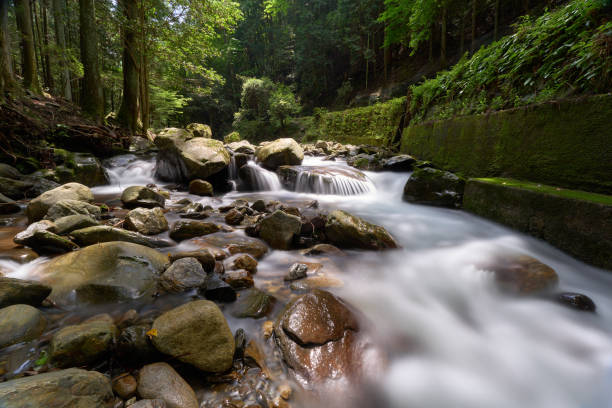 istock [Shinshiro] Spring scenery of fresh greenery and mountain streams (long exposure) 2160549514