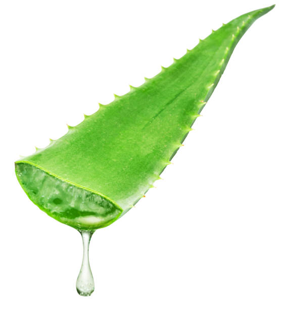 istock Aloe vera leaf with dropping aloe gel on white background. File contains clipping path. 2160550141
