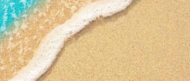 istock wet sand beach, close up, topview 2160550184