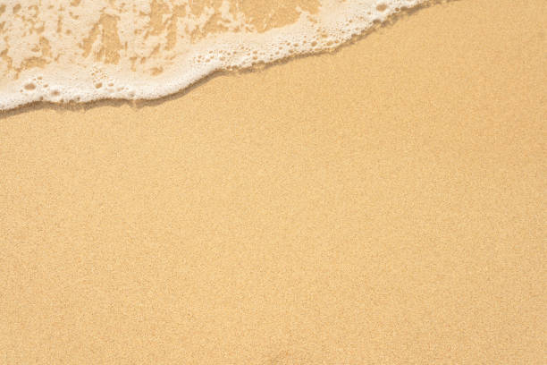 istock wet sand beach, close up, topview 2160550185