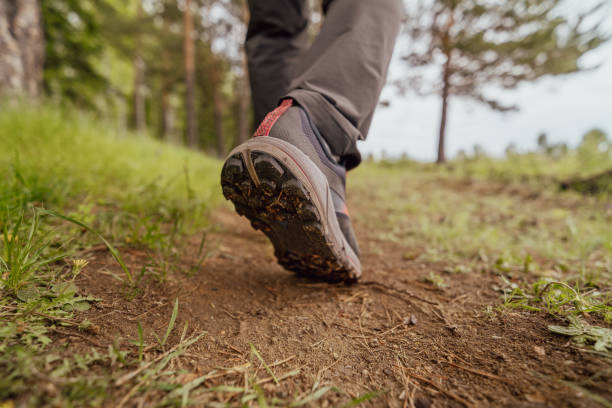 istock Men's footstep in the forest 2160550194