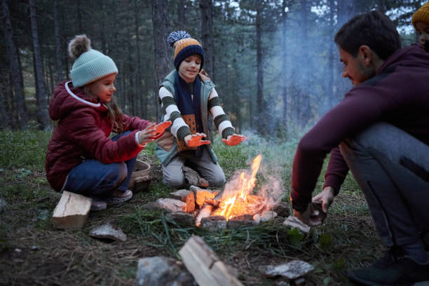 istock Memorable moments near campfire 2160554539