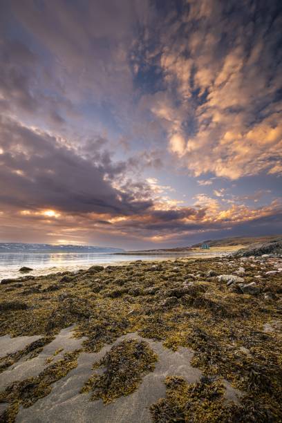 istock Scenic sunset over a rocky shore with a dramatic cloudy sky and mountains. Varanger, Norway 2160555131