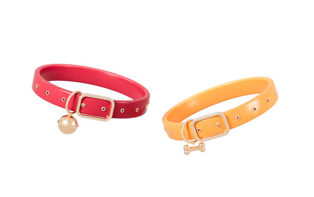 istock Cartoon pet collar in the white background, 3d rendering. 2160557232