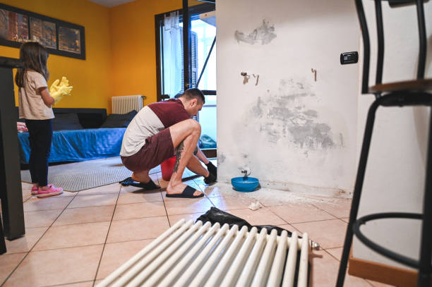 istock water damage on interior house wall 2160557842