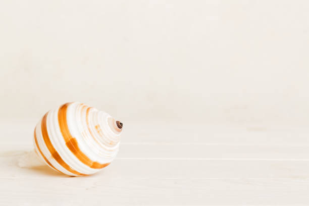 Summer time concept with sea shells or starfish on a table background with copy space for text.
