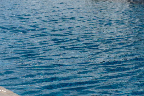 istock beautiful water in a swimming pool 12 2160559040