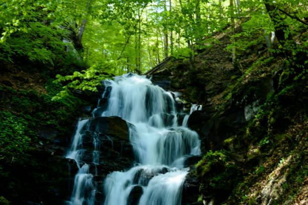 Small waterfall in Sweden. Moss-covered stones. Forest on the river bank. Scandinavian nature