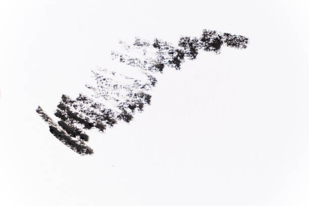 Stroke of black eyeliner on white background. Texture and pattern, space for text