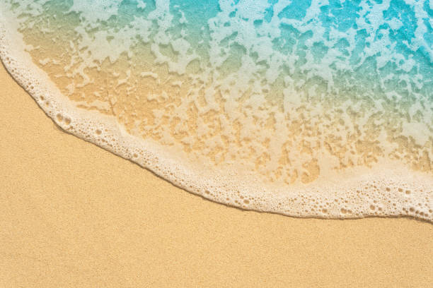istock wet sand beach, close up, topview 2160564751