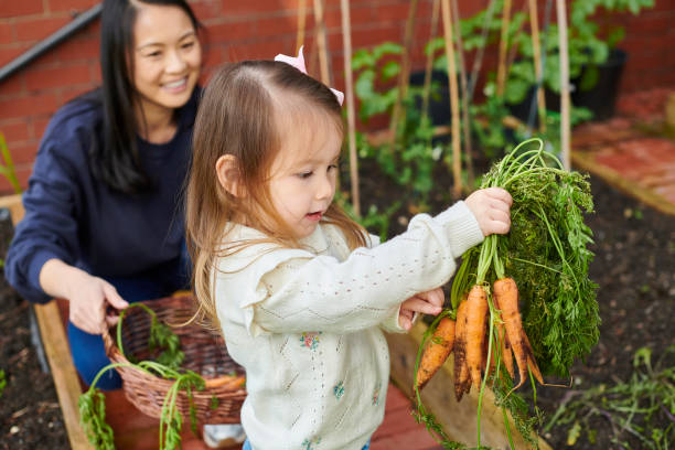 home grown vegetables