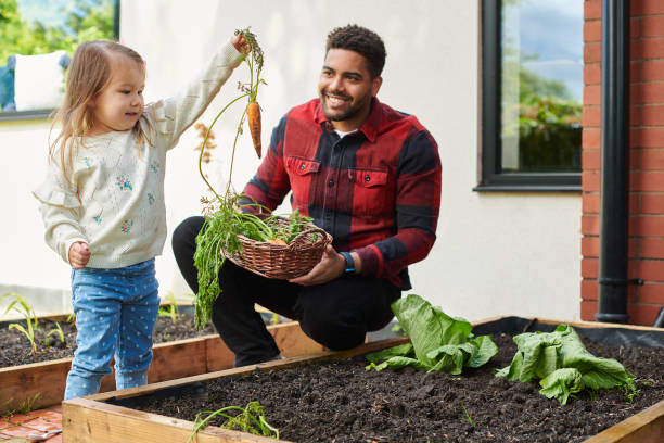istock home grown vegetables for the family 2160570980