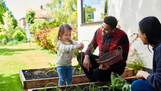 istock home grown vegetables for the family 2160571279