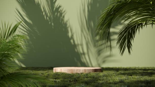 istock Summer podium, showcase in green grass with tropical palm branches - 3d render. Natural eco background. 2160571860
