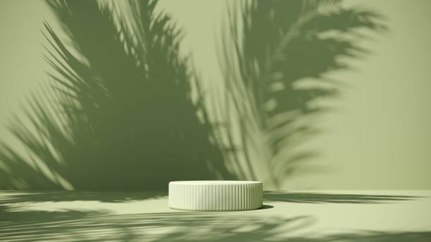 istock Summer podium, showcase in green grass with tropical palm branches - 3d render. Natural eco background. 2160571872