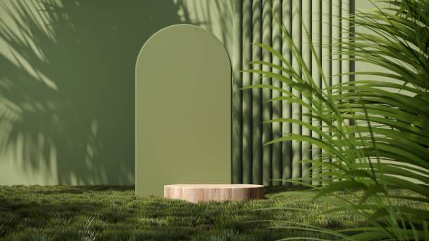 istock Summer podium, showcase in green grass with tropical palm branches - 3d render. Natural eco background. 2160571876