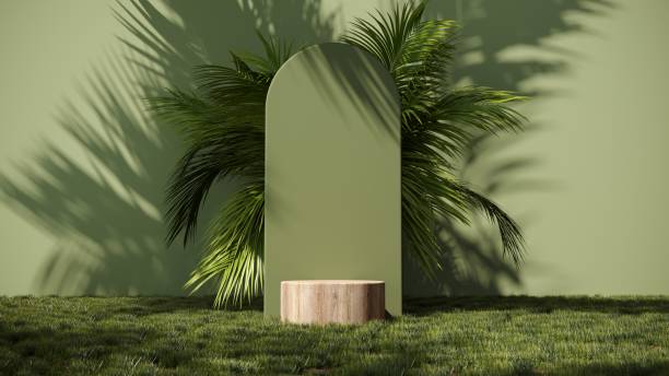 istock Summer podium, showcase in green grass with tropical palm branches - 3d render. Natural eco background. 2160571878