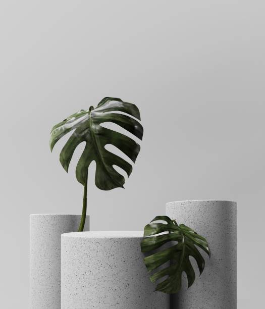 istock 3D rendering of a light stone podium with monstera leaves. 2160571899
