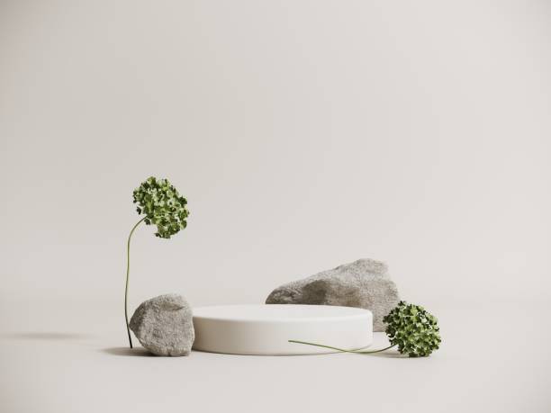 istock Podium, showcase made of stone and cement with green hydrangea flowers - 3d render. 2160571992
