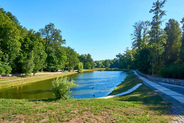 istock Cozy pond in a forestry summer park. A good place for walks, rest, relaxation 2160572143