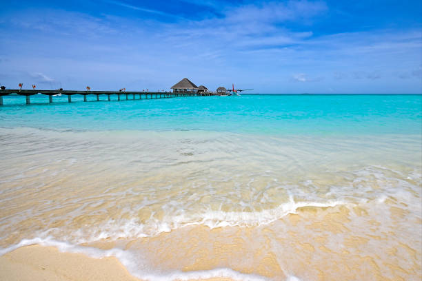 Lounge chairs at tropical paradise beach at Dhiffushi Holiday island at South Ari atoll, Maldives. Beautiful turquoise Indian ocean sea with white sand. Luxury travel holidays background. Property released.  Photo taken by Sony a7R II, 42 Mpix.
