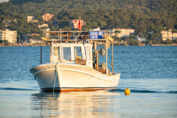 Fishing boat at sea