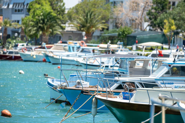Fishing boats in the harbor
