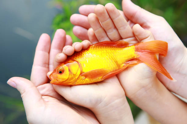 two kids with a big fish