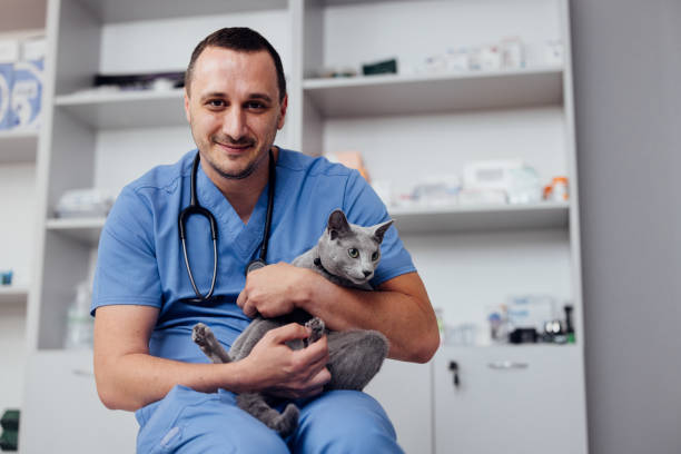 istock Smiling Veterinarian Holding Cat in Clinic Setting 2160576552