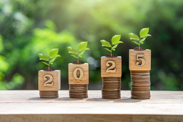istock Businessman drawing increasing trend graph with percentage on 2025 year and coins stacking for financial budget planing in new year concept. 2160577796