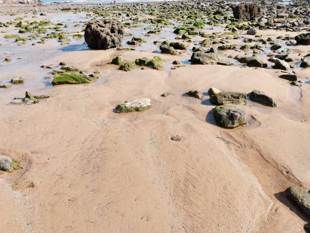 istock Wonderful beach with attractive sea tide 2160577811