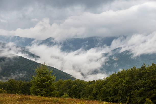 istock Foggy Mountain Landscape With Rolling Clouds Over Lush Greenery. Borzhava range during summer. Carpathian mountains, Ukraine 2160577970