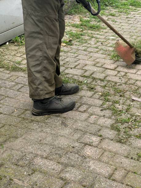 istock gardener cuts the grass in a yard 2160578544