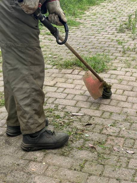 istock gardener cuts the grass in a yard 2160578595