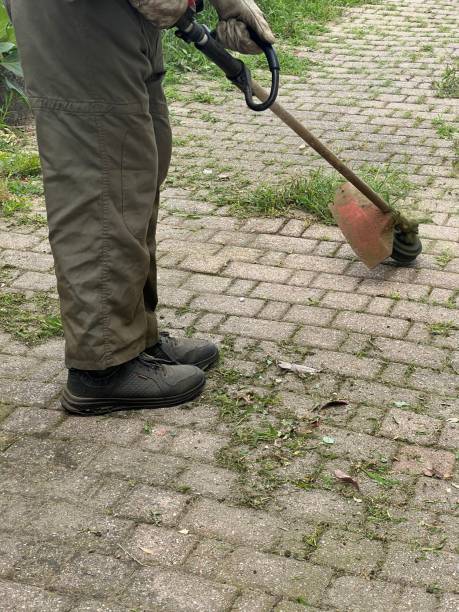 istock gardener cuts the grass in a yard 2160578614